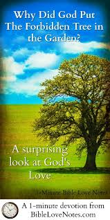 Maybe you would like to learn more about one of these? Just One Bible Devotions Bible Love Bible Topics