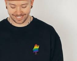 Right Shirt, LGBTQ Shirt, LGBTQ T-shirt, Pride Shirt, Equality Shirt, LGBTQ  Pride Shirt, Lgbtq Tee, Pride T-shirt