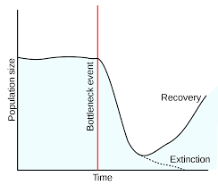 Population Bottleneck Wikipedia