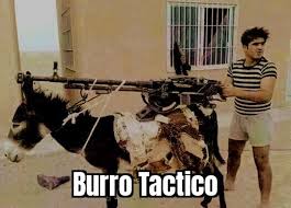Burro Tactico Meme By Miguelongoxd Memedroid