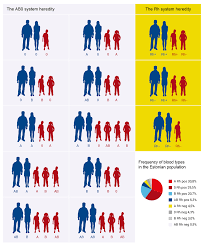 about blood types blood centre