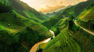 Southeast Asia Landscape Stock Photos ...