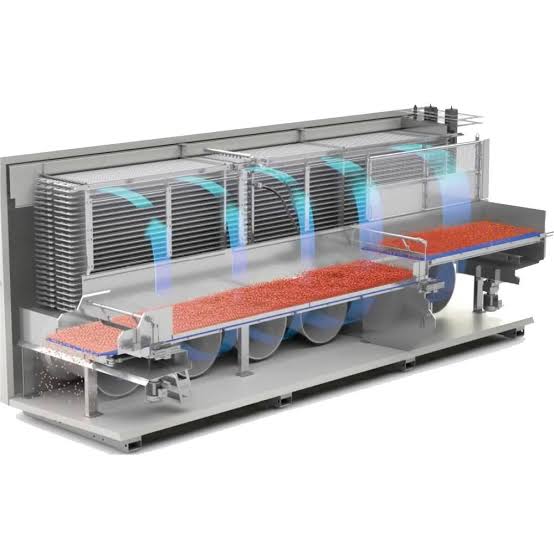 IQF frozen food processing plant