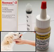 pyrantel pamoate suspension deworming for cats and dogs