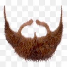 Free Transparent Brown Hair Png Images Page 21 Pngaaa Com Brown hair png collections download alot of images for brown hair download free with high quality for designers. pngaaa com