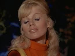 Bill Haddock (wghaddock)