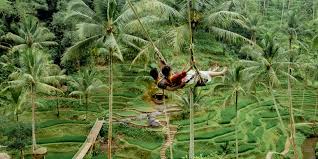 Berikut tempat wisata di jember: Rekomendasi 6 Tempat Agrowisata Di Bali Halaman All Kompas Com