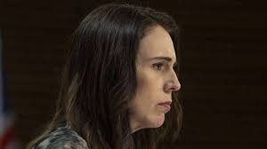 是否支持特朗普副幕僚长任OECD高官总理闭口不谈后花园专业房产财经新闻