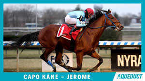 Maybe you would like to learn more about one of these? Horse Racing The King George Vi And Queen Elizabeth Qipco Stakes Saturday 10 35 Am Et Hfboards Nhl Message Board And Forum For National Hockey League