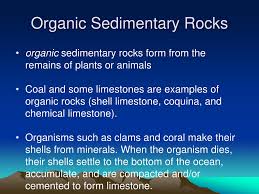 Check spelling or type a new query. Ppt Sedimentary Rocks Powerpoint Presentation Free Download Id 515020