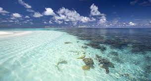 Groapa marianelor este situată în regiunea melanesia din oceanul pacific, în vecinătatea insulelor mariane și la aproximativ 2.000 kilometri de insulele filipine, aici a fost înregistrată (măsurată) cea mai mare adâncime din. Care Este Cel Mai Adanc Ocean Din Lume