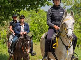 The latest tweets from league of legends: Authentic Experiences In Umbria Podere Vigliano
