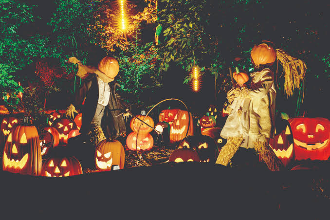 It's Spooky Season! Halloween Thrills and Chills