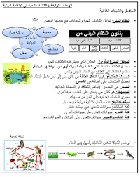 العلوم المتكاملة بوربوينت ورقة عمل السلاسل والشبكات الغذائية للصف الثاني ملفاتي