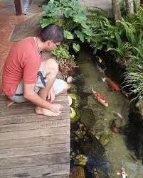 Jadi Pengen Bikin Kolam Di Halaman Like Dan Tag Temanmu Follow Rumah Idn Follow Rumah Idn Follow Rumah Idn Water Feature Taman Jepang Kolam Ikan