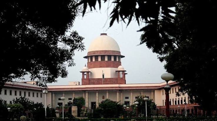 Supreme Court Rejects Appeal Against Ban On Horse-Drawn Carriages In Mumbai