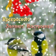 открытки с пожеланиями с добрым зимним утром скачать бесплатно Kartinki Po Vremenam Goda Zimnim S Dobrym Utrom Zimnego Utra Druzya V 2020 G Kartinki Snega Zimnie Kartinki Otkrytki