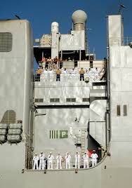 Image result for Gray 2009 Fleet