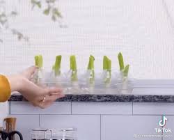 Pin Von Nathalie Ahrweiler Gemballa Auf Est Ideya Video In 2021 Hausreinigungs Tipps Geschenke Verpacken Weihnachten Einfaches Wohndekor