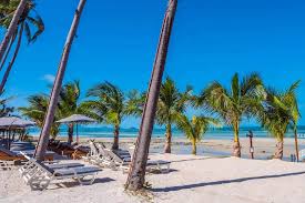 Tampa to Siesta Key Beach Adventure