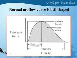 urodynamic study