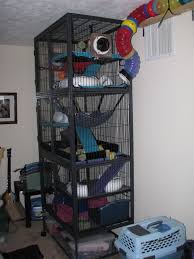Access Denied Furet Cage Furet Cage Rat
