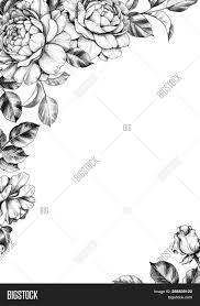 What kind of border is black and white? Black White Elegant Image Photo Free Trial Bigstock