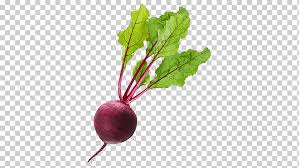 Beet Beet Png Klipartz Beet png with transparent background you can download for free, just click on it and save. beet beet png klipartz