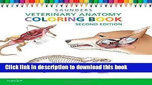 Download Books Veterinary Anatomy Coloring Book Full Online Video Dailymotion