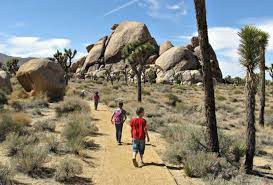 Joshua Tree 12 Things Not To Miss With Kids In This Desert National Park Joshua Tree National Park Hiking Joshua Tree Hikes Desert National Park