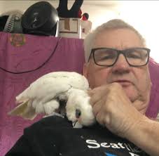 Mollywood Avian Sanctuary