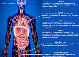 Gemeinhin wird hierbei zu einer täglichen einnahme von drei bis sechs gramm reinem arginin geraten. L Arginine Complex Etruscopharm Etruscopharm