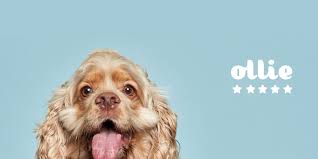 The preceding information reveals the corruption, malpractice and incompetence of mainstream medical institutions and food sources this information is important to comprehend so as to dispel any false trust you have with. Ollie Dog Food Reviews Honest Review Of Ollie Dog Food