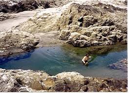 Beards Hollow Tide Pool Long Beach Peninsula Wa Long Beach Washington Tide Pools Oregon Coast