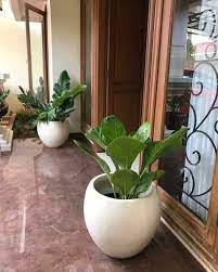 Apalagi kalau rumah kamu berada tepat di pinggir jalan besar. Pot Terrazzo Untuk Depan Pintu Dekorasi Tanaman Rumah Rumah Halaman Tanaman Sukulen