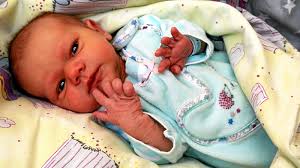 Babygalerie Kyffhäuserkreis