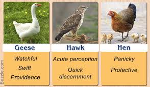 Birds And Their Meanings Pretty Enthralling Bird Symbolism And Their Meanings Birds Beautiful Birds Meant To Be