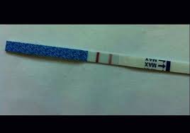 Isso significa que a mulher pode estar grávida e o teste acusar negativo ou não estar grávida e o resultado dar positivo. Teste De Gravidez Positivo Teste De Gravidez Positivo Teste De Gravidez Testes De Gravidez