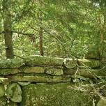 Trail Tuesday: Schoolhouse Pond Preserve
