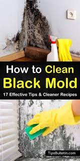 17 effective ways to clean black mold in 2020 clean black mold cleaning mold cleaner recipes
