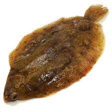 Rødtungen regnes for en af de finere spisefisk fra de hvor fanges rødtunge? Rodtunge Www Denrenevare Com