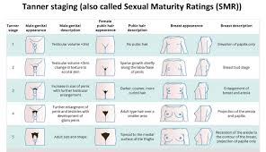 Image result for Precocious Puberty