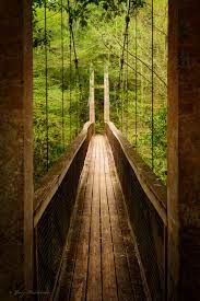 Ravine gardens state park is a beautiful florida state park located in palatka, florida. Ravine Gardens State Park Hardiman Images