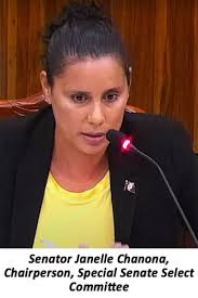 First public hearing