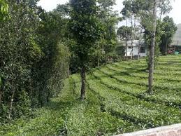 339 farms and ranches for sale in ontario. 2 33 Acre Agricultural Land For Sale At Valakkode Jn Upputhara Idukki Kerala Real Estate