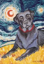 Pin On Dog