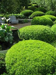 Combinacion De Texturas Y Verdes Sky Garden Outdoor Gardens Beautiful Gardens