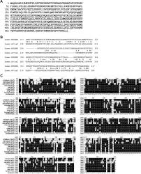 Roblox grand piece online codes february 2021 p. A Novel Protein Mudeng Induces Cell Death In Cytotoxic T Cells Sciencedirect