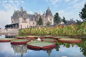 We did not find results for: Richie Rich S House Is Actually The Biltmore Estate America S Largest Home