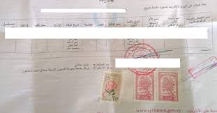 الجنوب أفريقية جوسياما تمارا سيثول البالغة من العمر 37 عاماً خدعت وسائل الإعلام في كثير من دول العالم. Ø³ÙˆØ±ÙŠØ§ Ù…ÙˆØª ÙÙŠ Ø¹Ù‡Ø¯Ø© Ø§Ù„Ø­ÙƒÙˆÙ…Ø© Daraj